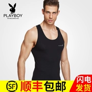 Playboy Slim-type Từ nam giới đáy quần bó sát thể thao Cotton Hurdle Cotton thoáng khí mùa hè - Áo vest cotton