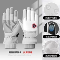 Серая женщина элита [сохраняйте теплый анти -ветра]