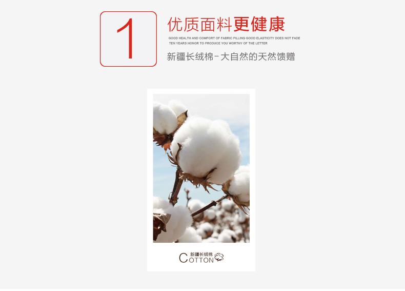 Pantalon collant Moyen-âge MAK003004 en coton - Ref 749961 Image 7