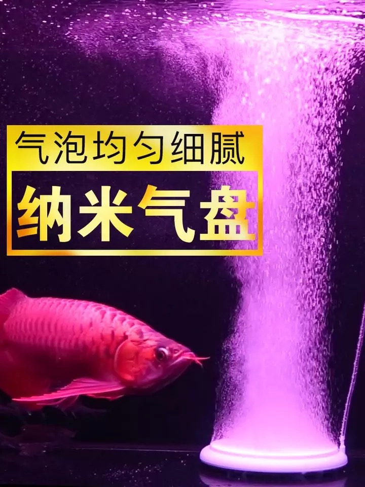 Old Fish Artisan Gas Pan Low Pressure Nanofurnace Flue Gas Stone Oxygen Pump Air Refiner Ultramicro Gold Stone Bubble Stones