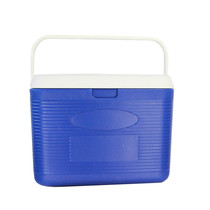 (Hot sale) 22L liter incubator refrigerated fresh-keeping box) Car refrigerator) Family car fishing box