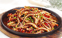 Haifeng fresh 10 kg headless squid blast dry cooker white cut spicy iron plate food preferred ingredients