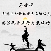 Ma Shiqi Xingyi Quan Standing on the ground Kung Fu Shangpai Xingyi Quan piling five elements of Kung fu Non-disc martial arts fitness