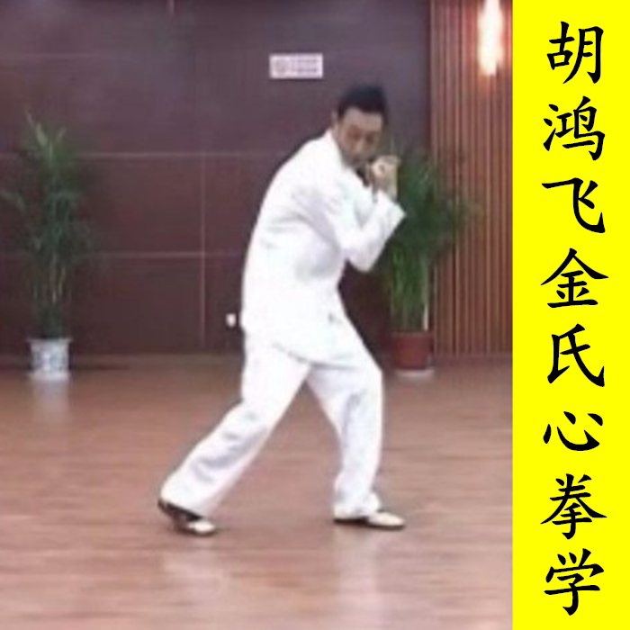 The Jin Kung Fu of Hu Hongfei in Eastern Shu originated from the traditional internal Kung Fu of Xinxin Liuhe Boxing