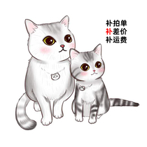 Special link for premium supplement shipping for customer order supplement