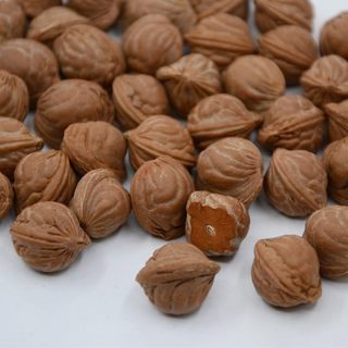 2024秦岭野生龙纹核桃雕刻原料桃核桃胡红皮大肚圆珠料文玩包邮