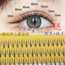 Germina Schaer New Scalaman False Eyelash Sandwich Duo Hair Super Soft Nature Emulation Yourself Graft Single Tufted Fairy Hair