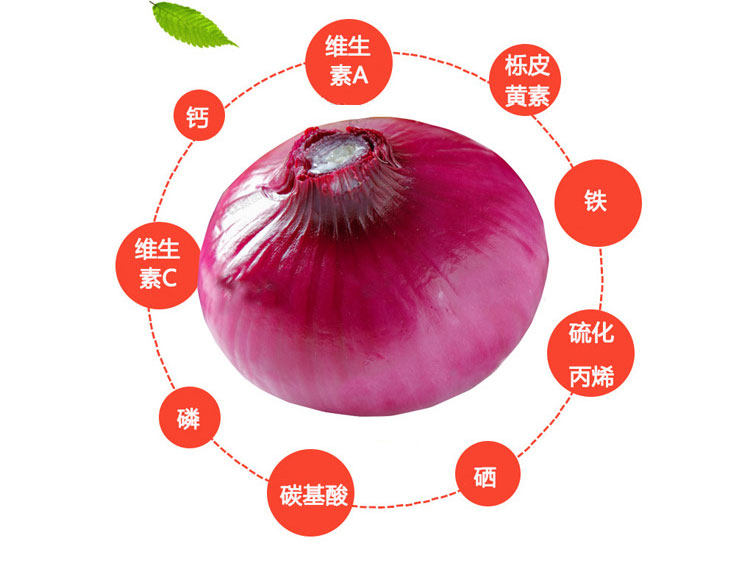 Onion_04.jpg