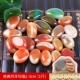[1 Catties] Classic Crescent Agate 2-3 см.