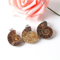 Natural fossil Madagascar fossil spotted snail fossil leaf ammonite teaching specimen necklace sweater chain pendant