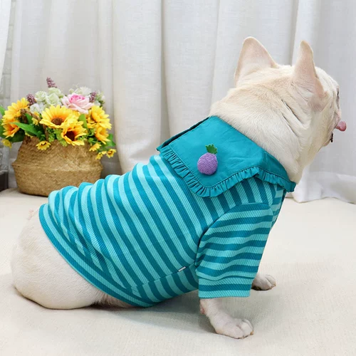 Собачья одежда борьба Corgi Осень