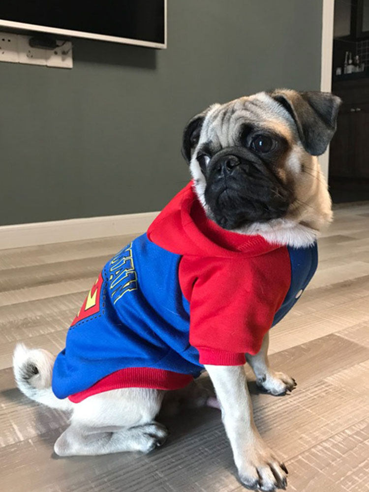 French Dou Pug Fat Dog Clothes Teddy Cotton Pet Cat Sweater Sweater Small and Medium Dog Pet Autumn and Winter Clothes