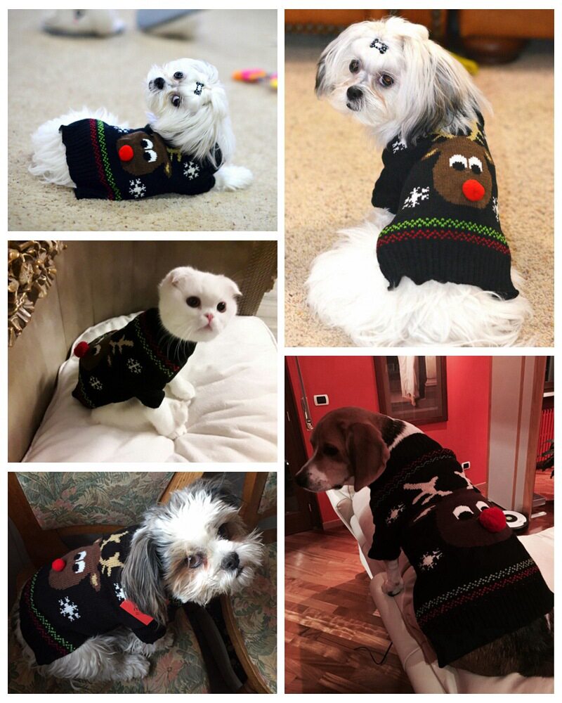 Dog clothes, cat, corgi, pug, sweater, autumn and winter pet clothes, Christmas and New Year's sweater, Douyin