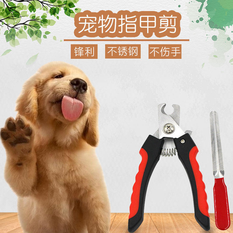 Pet Nail Scissors Dog Cat Nail Scissors Dog Special Large, Medium and Small Dog Teddy Golden Retriever Samoyed Nail Clippers