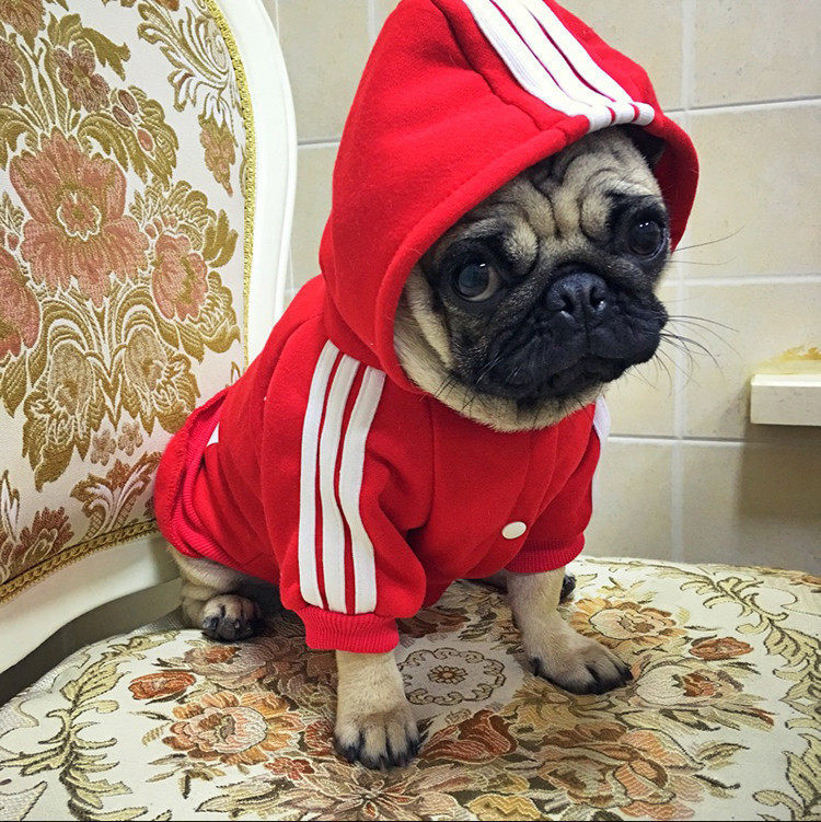 French Bulldog Clothes Pet Starling Shar Pei Fat Dog Autumn and Winter Clothes French Dou Ying Dou Autumn and Winter Tide Brand Fat Dog