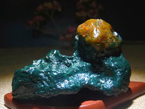 Plant grass away pretty color grass flower Jasper shape stone collection Alashan Gobi Agate rough ugly