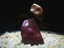 Character pretty color Jasper pictogram stone collection Alashan Gobi Agate rough ugly