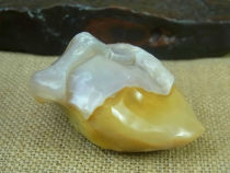 Jackfruit durian meat agate hieroglyphic natural stone collection Alxa Gobi agate raw stone C