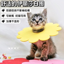 Cat Elizabeth collar collar cat dog pet sterilization anti-licking headgear soft and thin cat anti-licking ring