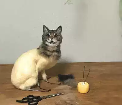 Want to waste your life poking little things Stubborn cat studio wool felt creative hand-made pet cat and dog hair customization