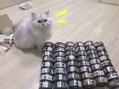 I want to keep your studio all kinds of self-use cat and dog Canned Cat bar pudding snack summary
