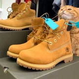 Martens, сапоги подходит для мужчин и женщин, обувь в английском стиле, из натуральной кожи, коллекция 2023, в британском стиле