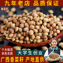 Guangxi Coriander seeds 50g Edible freshening seasoning Coriander seeds Coriander Coriander flour Coriander seeds Spices
