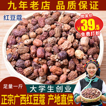 Premium wild red bean curd 500g Red bean curd Small red Bean Curd spice brine Brine material Red bean Curd duck neck brine