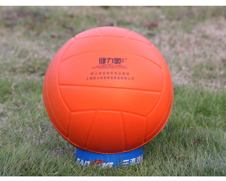 Ballon de volley-ball - Ref 2011624 Image 5