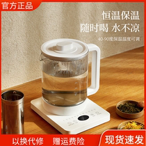 olayks Export original Wellness Pot Multifunction Built-in Strainer Glass Fully Automatic Office Cooking Tea
