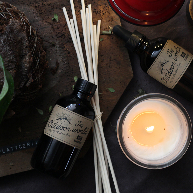 Qingshe Mistletoe American imported essential oil retro outdoor hand-made fire-free rattan aromatherapy bedroom gift