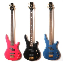 Export tail single special electric bass 24 metal electric bass IB playing bass guitar