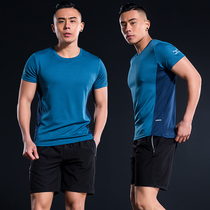  Summer fitness suit Mens short-sleeved shorts quick-drying clothes sports suit Gym loose and thin running suit suit