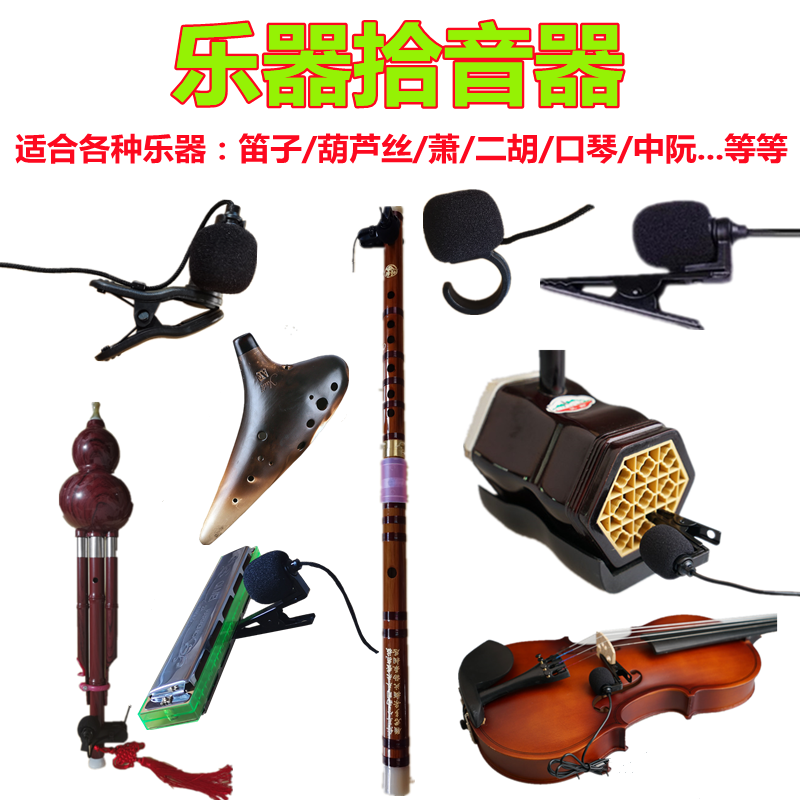 Hulusi Erhu Flute Harmonica Ocarina Guzheng Xiao Zhongruan Musical Instrument Loudspeaker Pickup Microphone Microphone Clip
