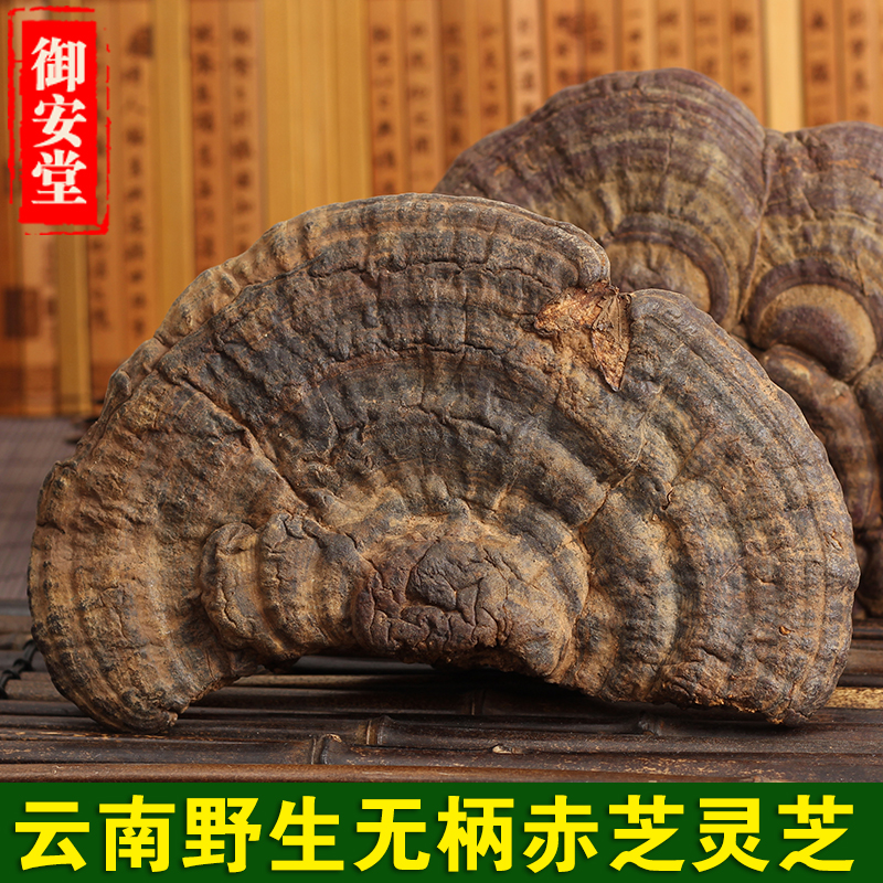 Yunnan wild Sessile red zhi Pruned wild Ganoderma lucidum Linzhi slices Red edge layer hole fungus Ganoderma lucidum slices 250g