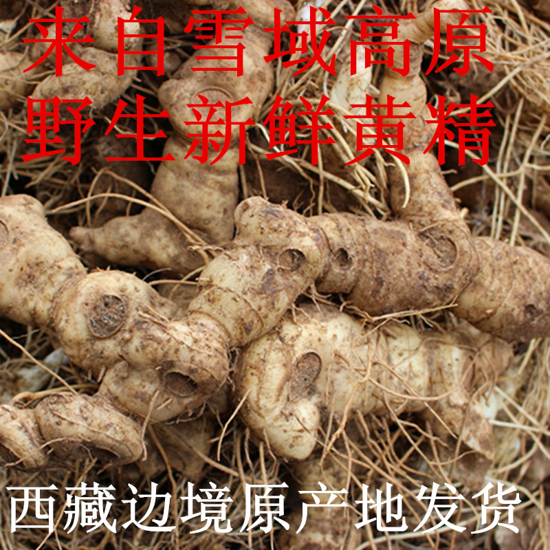 Tibet wild Huangjing wild ginger chicken head ginseng 8 to 10 years fresh Huangjing sweet Huangjing origin delivery