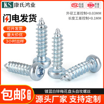 Plum pan head pointed tail self-tapping screws blue and white zinc plated nickel-plated round head semi-round head self-tapping screws pa2 6