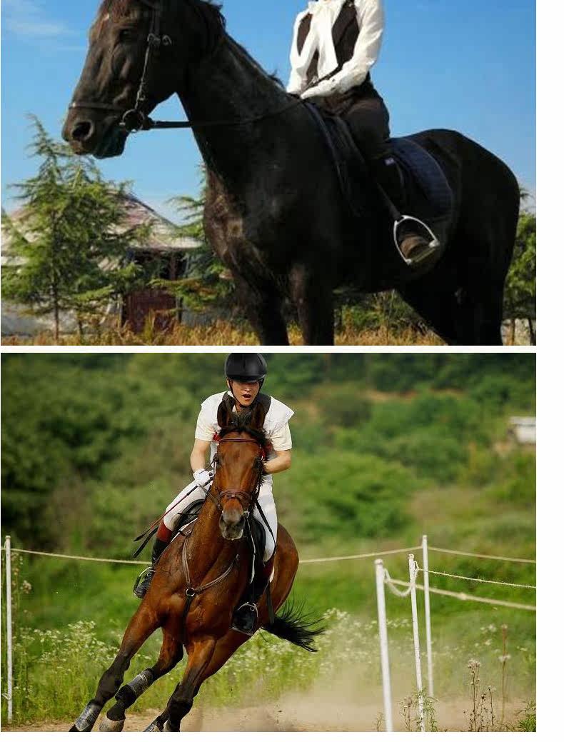 Article équitation pour homme MOON - Ref 1380080 Image 14