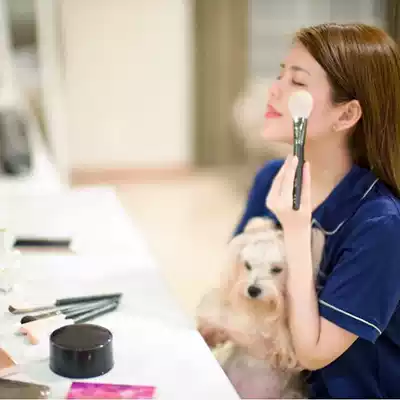 Korean PICCASSO103PB round goat wool loose paint brush blush brush honey paint makeup brush animal hair