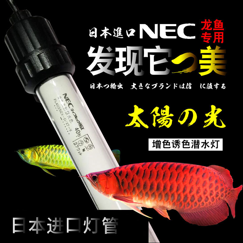 Japan NEC diving red dragon lamp waterproof 6700k30 three primary color fish tank lamp for aquarium Golden dragon fish color enhancement