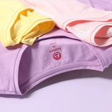 Fort Lion Dragon's Women's Pure красочная тонкая тонкая мала