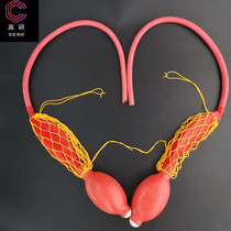 Double ball Double Ball Double Ball Double Ball Double Ball balloon laboratory automatic burette rubber pressure ball