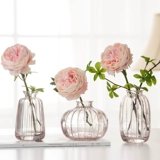 Маленькая рельефная простота ins bottle vase mini, цветок, прозрачный цвет цветов