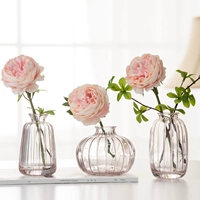 Маленькая рельефная простота ins bottle vase mini, цветок, прозрачный цвет цветов