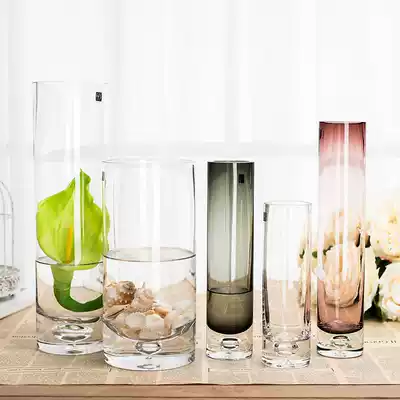 Beautiful smart bubble glass vase transparent hydroponic flower arrangement vase straight tube flower living room creative decoration
