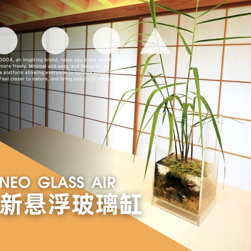 (ADA) DOOA floating cylinder ultra-white glass bottom 3cm water and land view small plant office fish tank