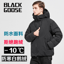 Strengthen cold protection mens 800 white goose down jacket thickened full waterproof and warm short winter down jacket 90 white goose down