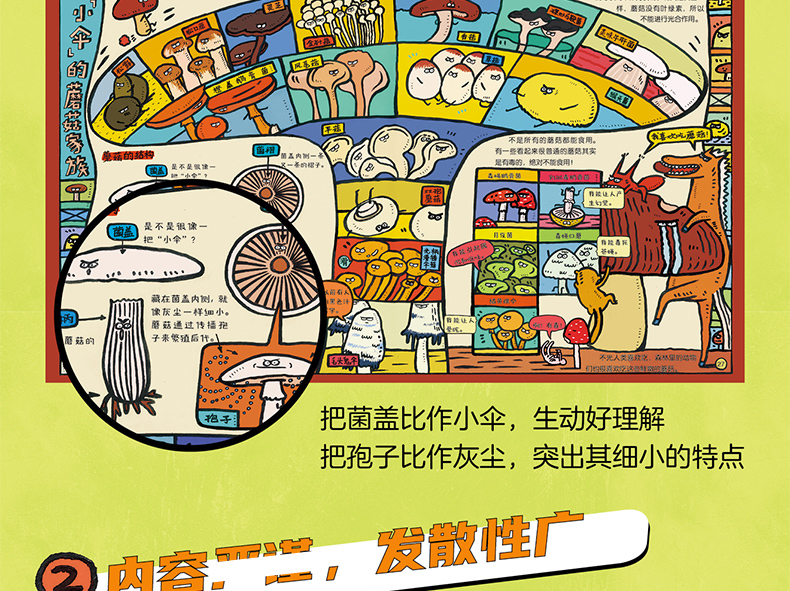 神奇运转的万物 精装共3册 28元包邮 值值值-买手聚集的地方