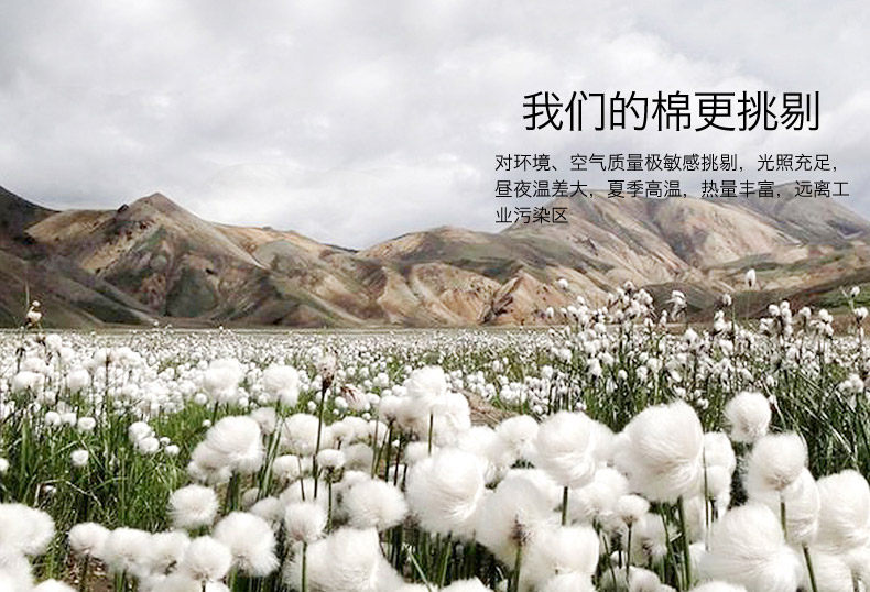 Sous-vêtement chaud jeunesse en coton - Ref 761311 Image 15