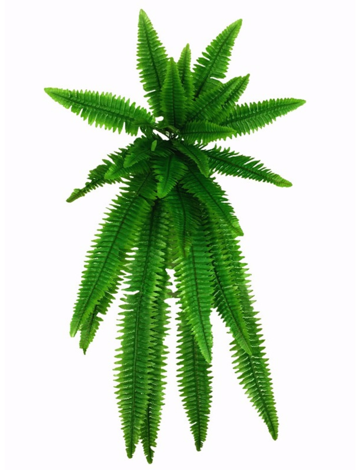 Green Rhyme Mô phỏng Cỏ Ba Tư Cây sắt Cây lá dọc Cây xanh Trang trí tường Phụ kiện Cây xanh Hoa Tường - Hoa nhân tạo / Cây / Trái cây bình hoa giả để bàn